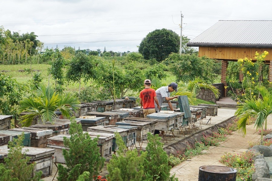 Tour 1 ngày Đà Lạt -Khám phá ngoại thành Đà Lạt- Ảnh: Đan Nhi Travel